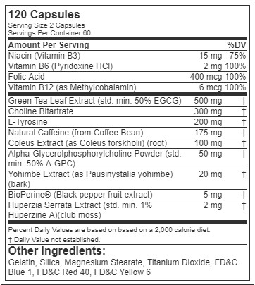 trans4orm ingredients
